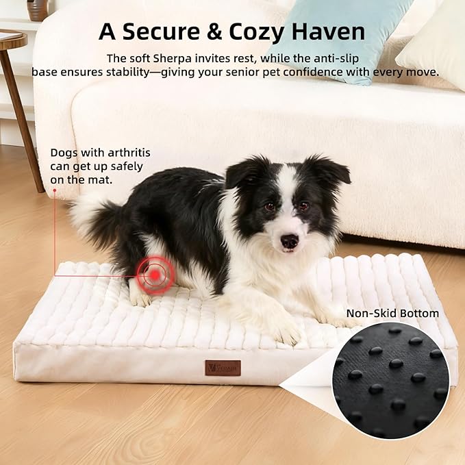 Orthopedic Dog Bed with Firm High-Density Egg Crate Foam, Machine Washable Cover & Non-Slip Bottom for Medium & Large Breeds (Beige, 35" L x 22" W x 3" H)