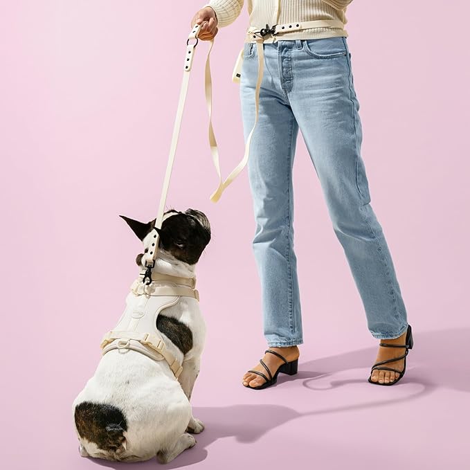HNS1001L Arlo Small Adjustable Soft Padded No Pull Pet Harness with 3 Buckles and 3 Leash Clips, Bailey