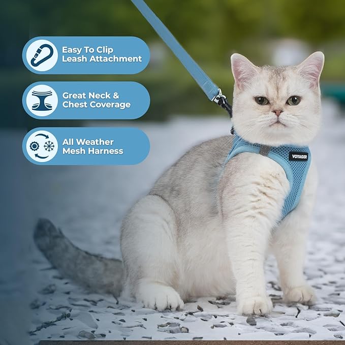 Voyager Step-in Pet Harness - All Weather Mesh, Adjustable Step in Harness for Cats and Dogs by Best Pet Supplies - Baby Blue, S (Chest 14-16")
