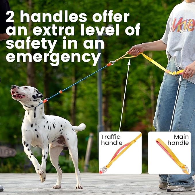 HowGo Slip Lead Dog Leash with Double Handles | Reflective Dog Training Leash with 360° Swivel Anti-Tangle | Heavy-Duty Lead and Collar for Large Medium and Small, No-Pull Walking (Lavender, 5.5FT)