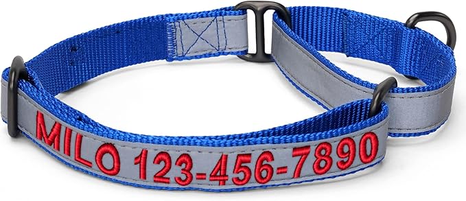 Pawtitas Customized Martingale Dog Collar Reflective Reflective Dog Collar Embroidered Personalized Name Phone Number Adjustable for Puppies Small Medium Large Size Dogs Medium Blue