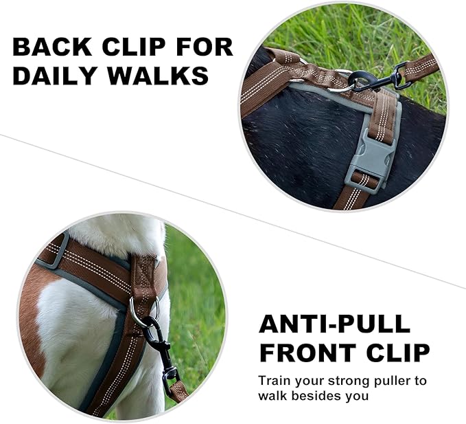 Plutus Pet No Pull Dog Harness, Adjustable Nylon Harness with Soft Padding, Reflective and Heavy Duty Dog Harness for Small, Medium, Large Dogs(Chocolate, M)