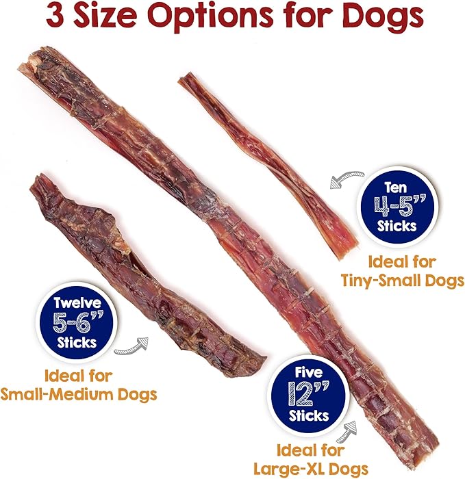 Riley's Steer Bully Sticks for Small to Medium Dogs - Single Ingredient Dog Treat, Easily Digestible, 100% Beef Pizzle Sticks - 5-6", 12ct (Pack of 2)