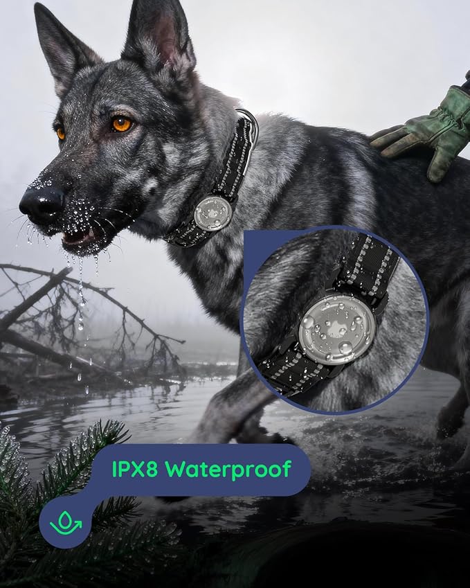 Upgrade Airtag Dog Collar,with IPX8 Waterproof AirTag Holder | Reflective Ultra-Durable | Soft Padded | Lock Buckle | Heavy Duty | Fit Small Medium Large Dogs（Black1，XL(19"～27")）