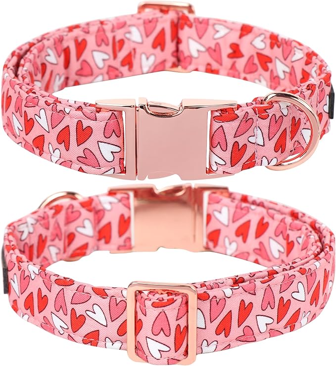 Lionet Paws Valentines Dog Collar Bowtie, Dog Bowtie Collar with Metal Buckle for Dogs, Adjustable Comfortable Dogs Collars Girl Boy, M, Neck 13.5-22 in
