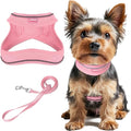 Dog Harness and Leash Set,Step in Small Sized Dog Harness,Soft Mesh,No-Chock,Reflective Adjustable,Secure with Hook & Loop Fastener,Puppy Vest for Small,Medium Dogs(Baby Pink,S)