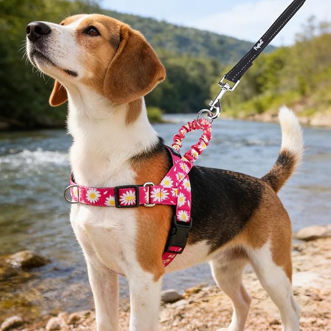 PUPTECK No Pull Dog Harness Small Sized Dog, Adjustable Reflective Pet Vest Harness with Bungee Handle, Escape Proof No Choke Harness for Small Dogs Walking Training, Fuschia Daisy M