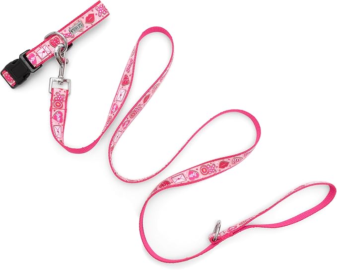 THE WORTHY DOG Collar for Small Dogs, Adjusts 6-12 inches, Durable Nylon Webbing, Quick Release Buckle, Love & Kisses Pattern, Pink, X-Small