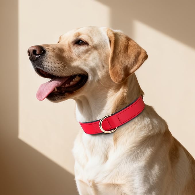 Didog Soft Padded Dog Collar for Large Dogs, Lightweight and Breathable Dog Collar with Metal Buckle, Red, XL