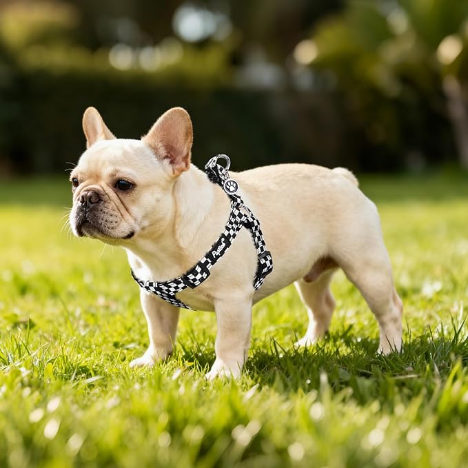 PUPTECK No Pull Dog Harness Soft Adjustable Basic Nylon Step in Puppy Vest Outdoor Walking with ID Tag, Checkered Black&White, S