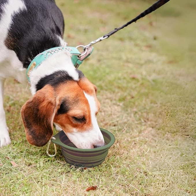 CHICHIPAWS Collapsible Pet Bowls, Portable Dog and Cat Dishes, 2 Pack Collapsible Water Bowls, Portable Pet Feeding Dish for Walking, Parking, Traveling, Camping with Carabiners (600ml)