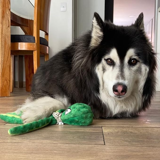 Dog Squeaky Toys Octopus, No Stuffing Crinkle Plush Dog Toys for Puppy Teething, Durable Interactive Dog Chew Toys for Small to Medium Dogs Training and Reduce Boredom (2 Pack)