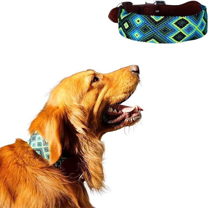 Eternia Premium Leather Dog Collar - Adjustable Handcrafted Collar for Small to Large Dogs (Blue/Green, XL)