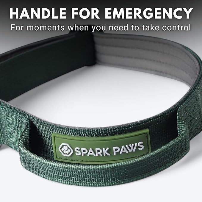Spark Paws Tactical Dog Collar - Heavy Duty, Premium Quality, Thick and Durable for Large and Medium Dogs - Solid Green - XS - 1"