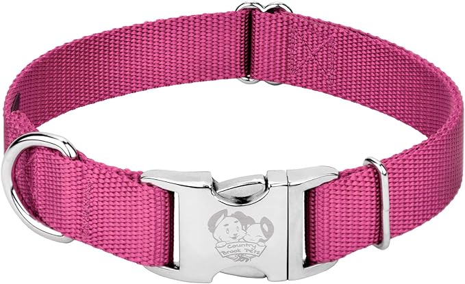 Country Brook Petz - Premium Nylon Dog Collar with Metal Buckle for Small Medium Large Breeds - 10+ Warm Colors (Small, 3/4 Inch, Rose)