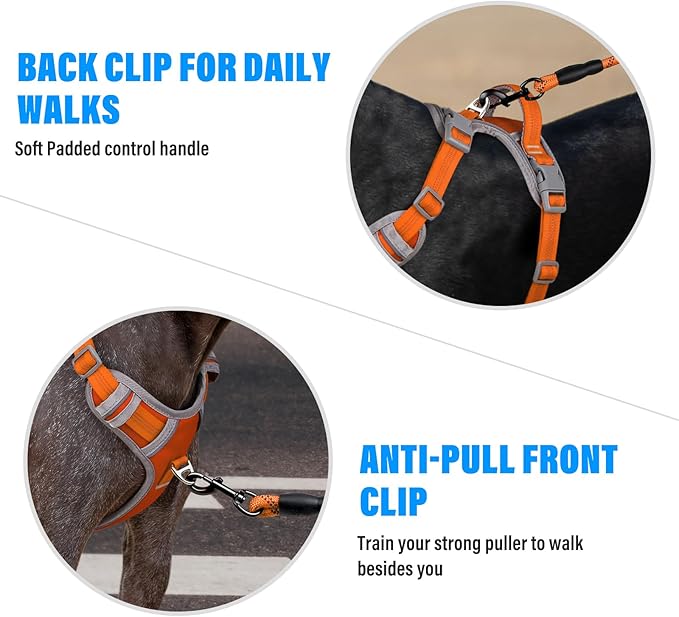 Plutus Pet No Pull Dog Harness, Release at Neck, Reflective Adjustable Dog Vest Harness, Easy Control Handle for Walking, for Small Medium Large Dogs, Orange, L