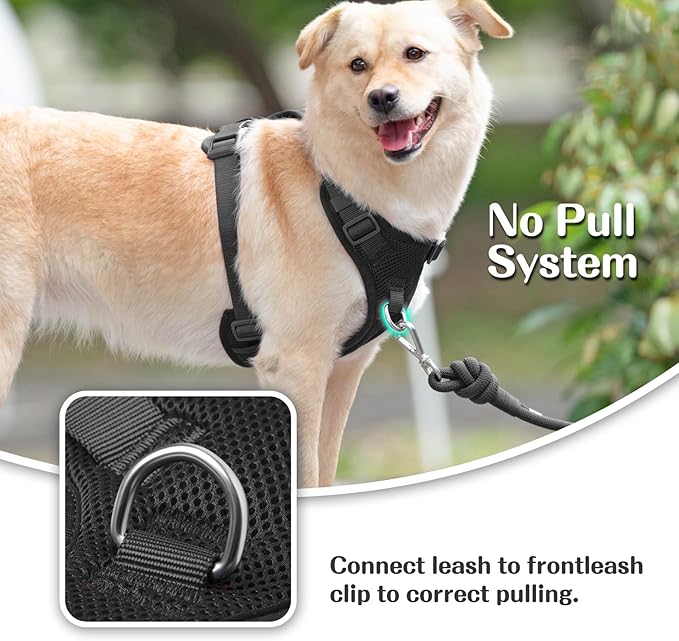 No Pull Dog Harness for Small Medium Large Dogs - Adjustable 2 Layer Mesh Dog Vest with Dual Clip, Escape Proof, Quick Release, Lightweight Breathable Mesh for Walking Hiking (Black,XS)