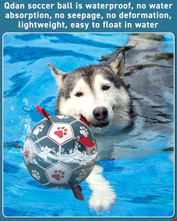 QDAN Dog Toys Soccer Ball with Straps, Durable Giant Dog Balls, Outdoor Dogs Toys, Herding Ball, Birthday Gifts (10 Inch)