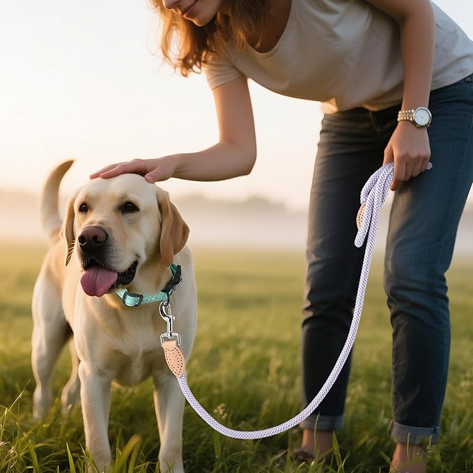 Mile High Life Rope Leash with Genuine Leather Connection, 6 FT/5 FT/4 FT, Heavy Duty Leash for Small Medium & Large Dogs (Purple,48 Inch)