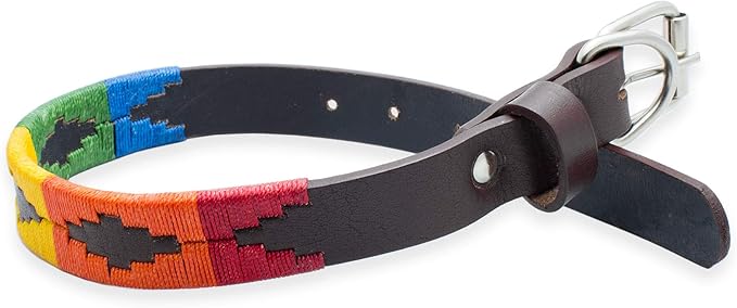 Leather Dog Collar in Orange by Gaucho Goods