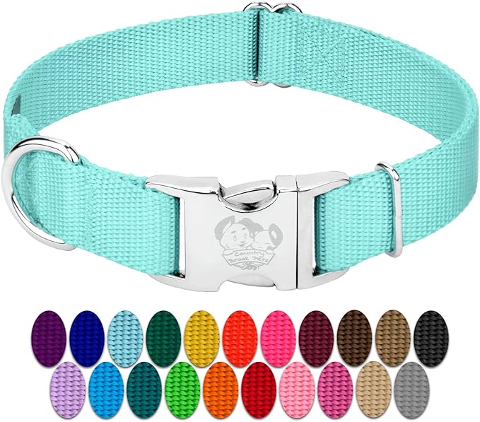 Country Brook Petz - Premium Nylon Dog Collar with Metal Buckle for Small Medium Large Breeds - 10+ Cool Colors (Large, 1 Inch, Light Cyan)