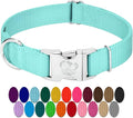 Country Brook Petz - Premium Nylon Dog Collar with Metal Buckle for Small Medium Large Breeds - 10+ Cool Colors (Small, 3/4 Inch, Light Cyan)