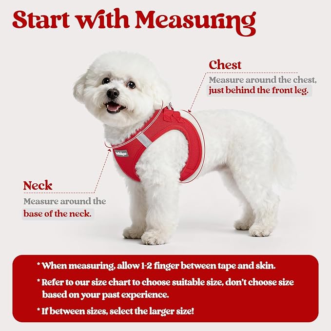 rabbitgoo Dog Harness Small Sized and Leash Set, Step in Soft Light Puppy Vest, Breathable Mesh Pet Harness, Reflective for Outdoor Safe Walking, Red XXXS