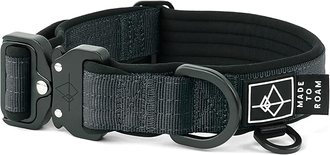 MADE TO ROAM Comfort Collar - Adjustable Nylon Dog Collar with Soft Comfortable Padding, Light Aviation Aluminum Metal Buckle for Small, Medium and Large Dogs (New York Afterlight, Size 0)