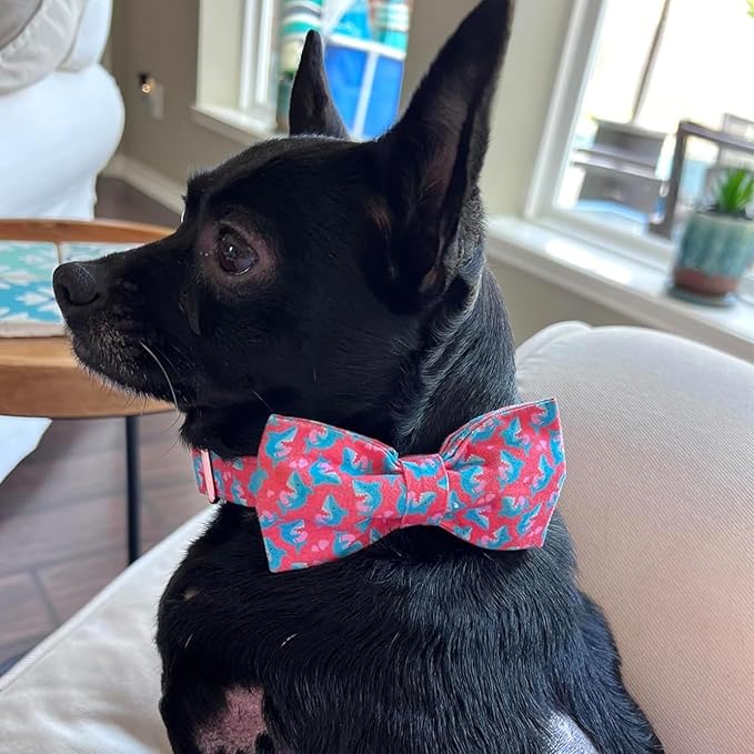 Elegant little tail Valentine's Dog Collar, Heart Dog Collar Cute Girl or Boy Puppy Collars Bowtie Pet Gift Adjustable Pet Collars for X-Large Dogs