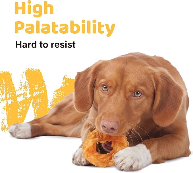 iPaw 10 Pcs Value Pack Turkey Tendons for Dogs, 100% Turkey and US Sourced Raw Material, Hypoallergenic, All Natural Human Grade Puppy Chew, Rawhide Alternative Dog Treats, Ring (Small)