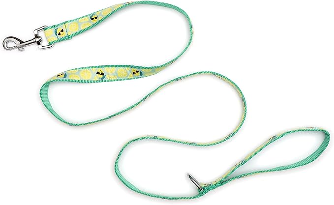 THE WORTHY DOG Lemons Patterned Nylon Leash for Dogs, Stylish, Durable, Woven Ribbon - Lemon Green, Small
