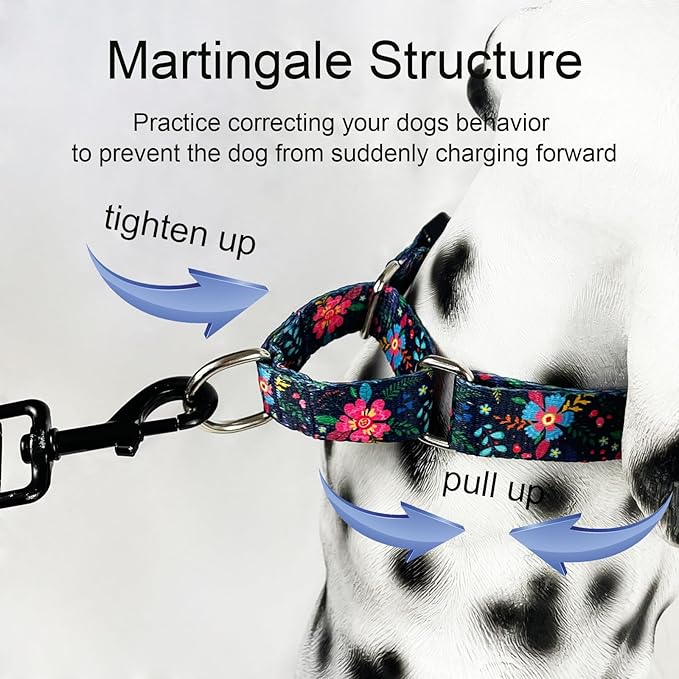 Martingale Collar for Dogs Floral Dog Collars for Small Medium Large Dogs with Buckle Adjustable Soft Nylon Dog Collar (Blue Pink Flower, XSmall)