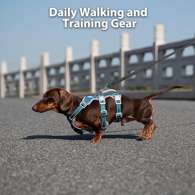 Huntboo Escape Proof Dog Harness, No Pull Reflective Harness with Lift Handle, Adjustable Pet Vest with Front and Back Leash Clips for Small Medium Large Dogs Walking Hiking Training (Teal,L)