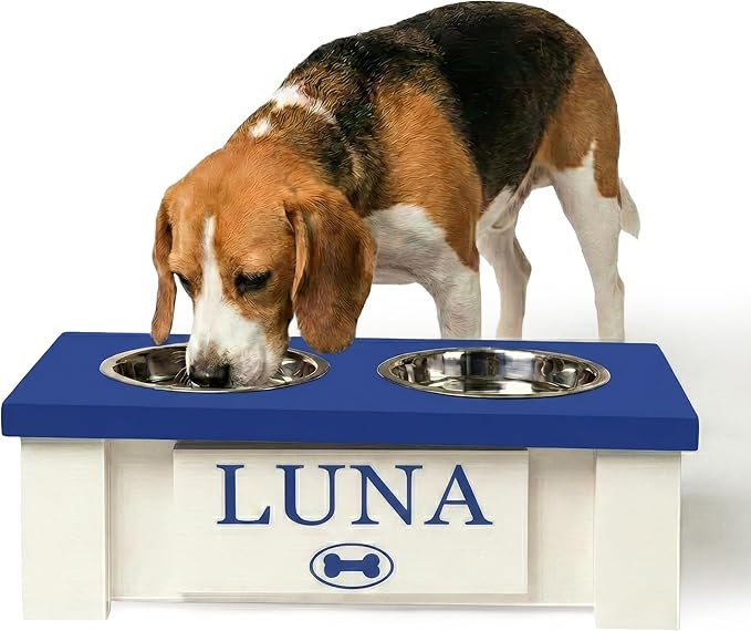 GTW Personalized Elevated Dog Bowl Stand for Large, Medium, Small, X-Small Dogs - Stainless Steel Food and Water Bowls - Raised Dog Dish with Internal Storage (X-Small, Blue)