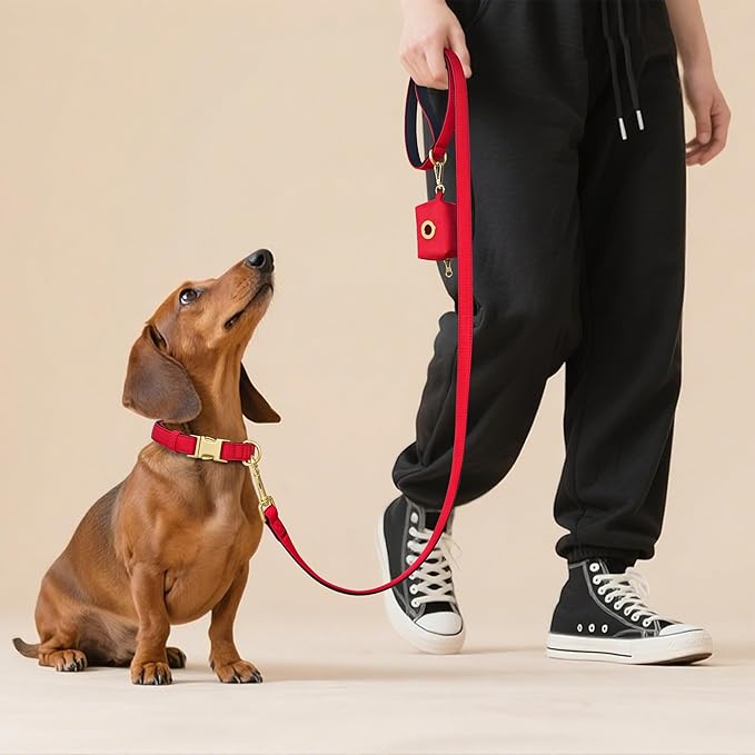 Didog Soft Padded Dog Collars for Medium Dogs, Colorful and Durable Dog Collar with Quick Release Buckle, Light and Breathable for Daily Walking, Red, M