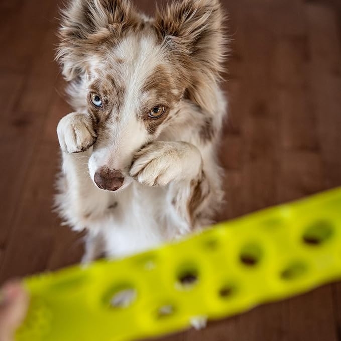 Messy Mutts Totally Pooched Huff'n Puff Stick | 10” x 2” TPR Puzzle Stick for Dogs | 2-in-1 Interactive Toy and Tooth Cleaner | Green