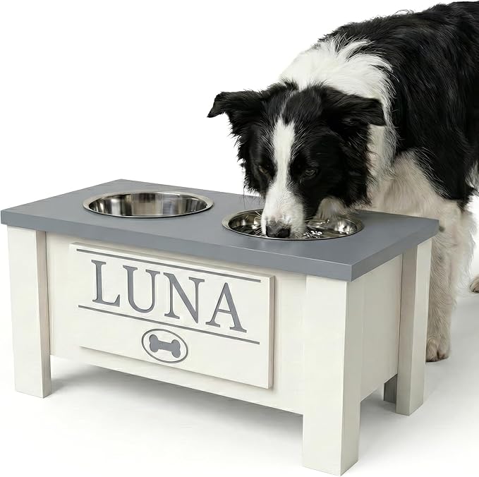 GTW Personalized Elevated Dog Bowl Stand for Large, Medium, Small, X-Small Dogs - Stainless Steel Food and Water Bowls - Raised Dog Dish with Internal Storage (Medium, Grey)