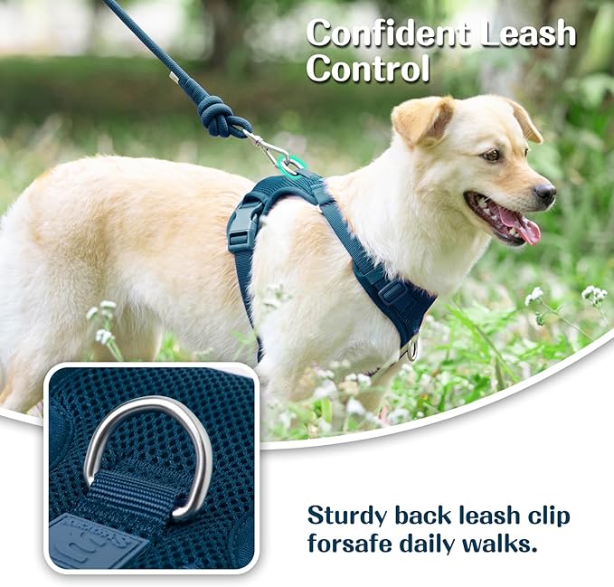 No Pull Dog Harness for Small Medium Large Dogs - Adjustable 2 Layer Mesh Dog Vest with Dual Clip, Escape Proof, Quick Release, Lightweight Breathable Mesh for Walking Hiking (Prussian Blue,L)