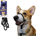Heather's Heroes The Sidekick No-Pull Leash Black