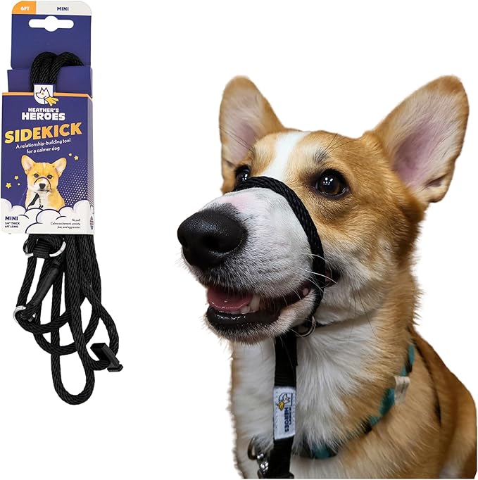 Heather's Heroes The Sidekick No-Pull Leash Black