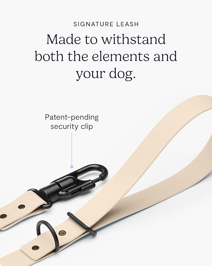 Fable Signature Dog Leash - Waterproof, Durable, Lightweight Leash - Wrist Strap Adjuster Allows for Hands Free Dog Walking - Large to Small Dogs - Security Clip - Made in USA - Blush M