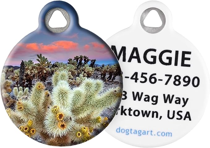 Dog Tag Art Nature and Outdoors Custom Pet ID Tag for Dogs and Cats, Personalized Dog Tag with Customized Identification, Cholla Cactus Garden, Large (1.25" Diameter)