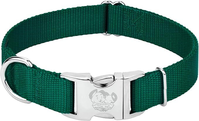 Country Brook Petz - Premium Nylon Dog Collar with Metal Buckle for Small Medium Large Breeds - 10+ Cool Colors (Medium, 3/4 Inch, Green)