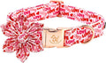 Elegant little tail Valentine's Day Dog Collar, Valentine's Day Dog Collar with Flower, Heart Dog Collar Cute Girl or Boy Dog Collar Flower Pet Gift Adjustable Dog Collar for Large Dogs