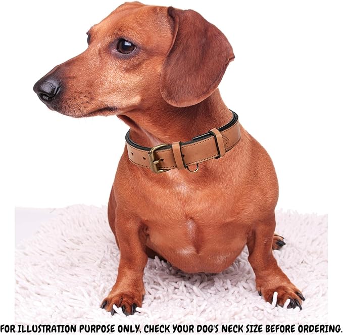 Real Leather Dog Collar Padded Soft Interiors with Premium Vintage Look Handcrafted Heavy Duty with Tag Ring for Small Medium and Large Pets (Medium (1.25" Wide for 13.5" - 17.5" Neck), Cognac)