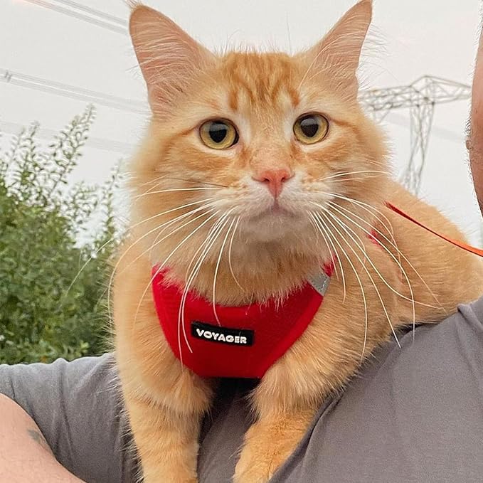 Voyager Step-in Pet Harness - All Weather Mesh, Adjustable Step in Harness for Cats and Dogs by Best Pet Supplies - 307S Red, S