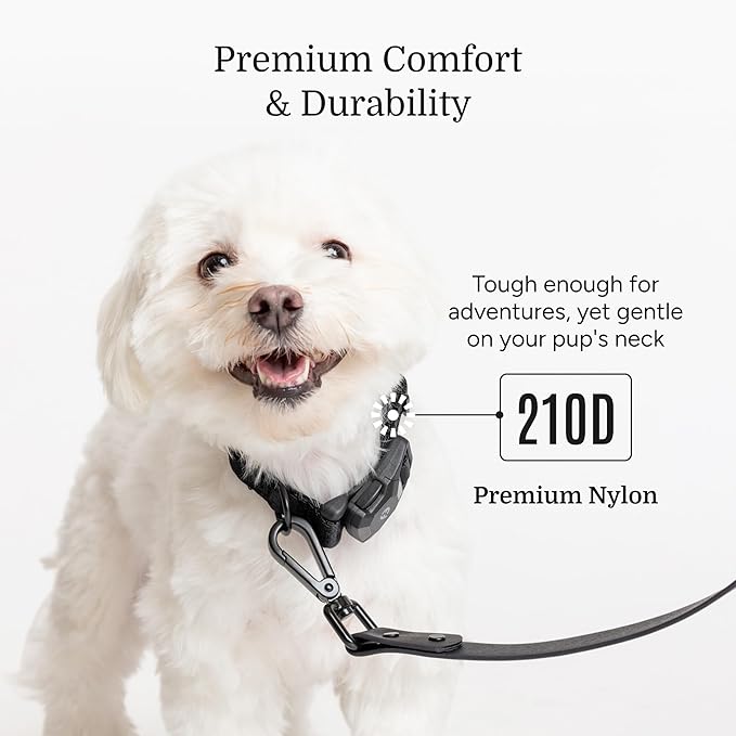 2026 New Edition, Fei & Eve MagEase Dog Collar - Patented Magnetic Buckles | Fur-Safe | Premium 210D Nylon | 450LB Escape-Proof | Adjustable Fit | Small (Black)