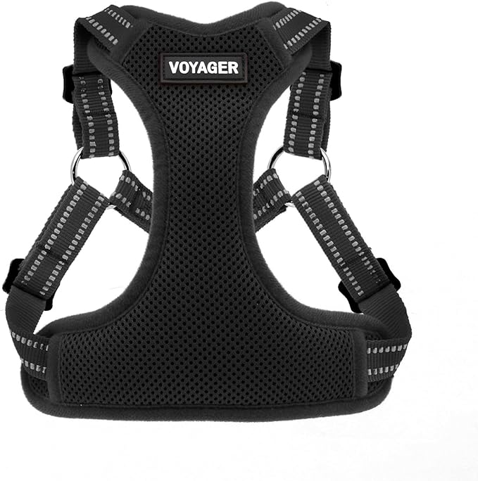 Best Pet Supplies Voyager Adjustable Step-in Flex Breathable Mesh Dog Harness for Small Medium Large Dogs (Black), XS