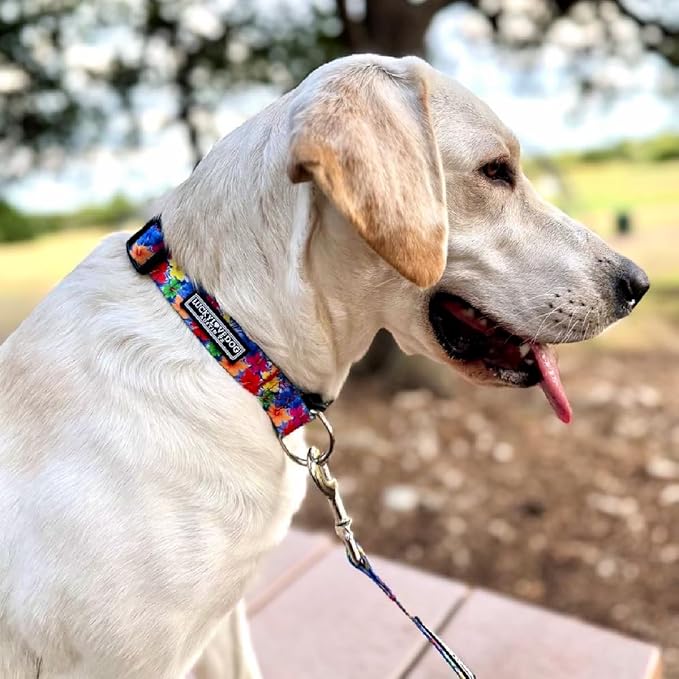 Lucky Love Dog - Adjustable Dog Collar with Easy Click Buckle for Small Ones, Durable, & Comfortable for Male & Female Dogs, Pet Collar for Puppies & Adult Dogs - Hana, XS