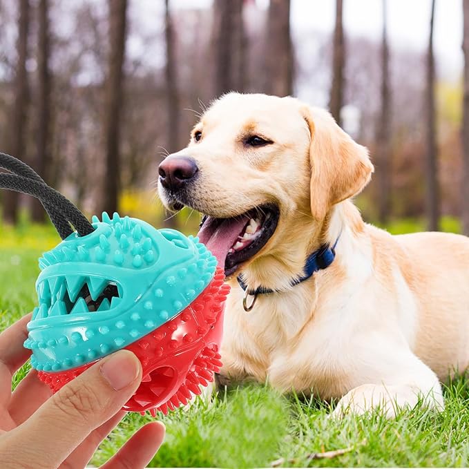 NOLITOY Interactive Suction Cup Dog Chew Toy, Rubber Tug Ball Puppy Chew Squeaky Toy for Aggressive Chewers
